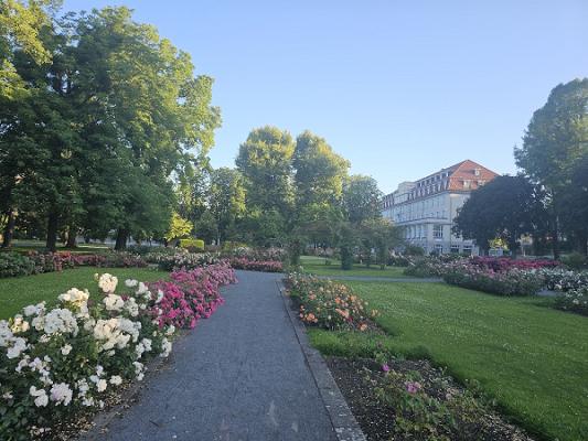 Rosarium im Kurpark Bad Eilsen