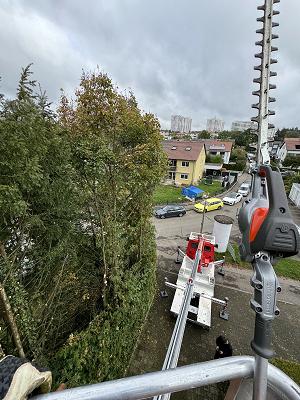 Holz & Gartenbau Gün