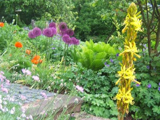 Gartengestaltung Sturm