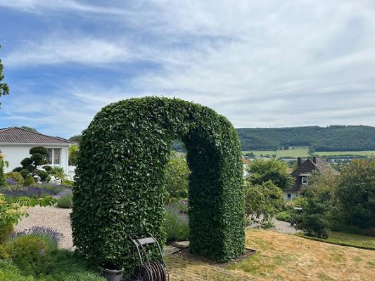 Gartenservice Hameln