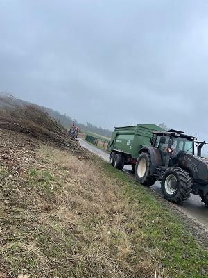 Blumenhaus Schlieker - GalaBau