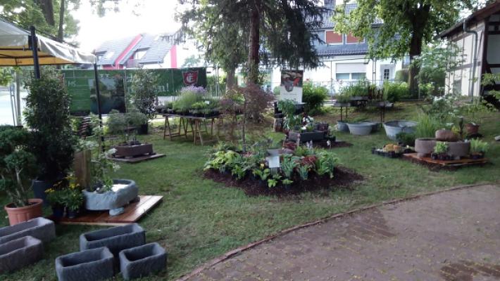 MS Gartengestaltung