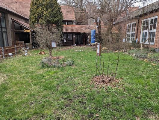 Bibelpflanzengarten Sankt Marien Göttingen