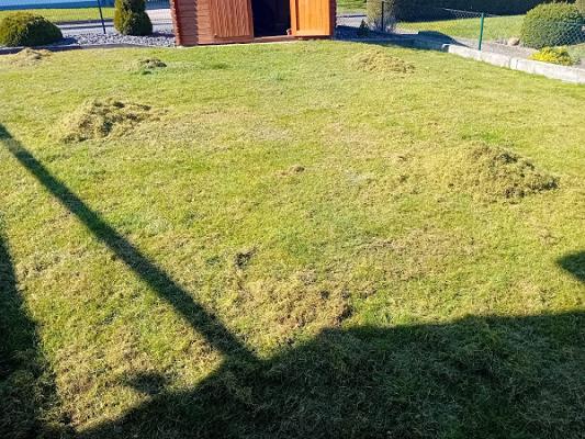 Gartenbau und mehr