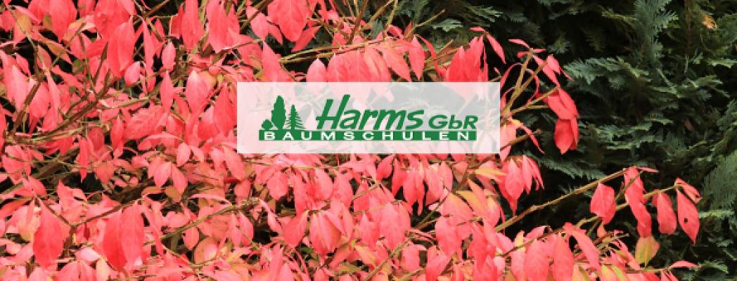 Baumschule Harms
