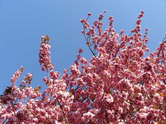 Krüger Garten- und Landschaftsbau Göttingen und Umgebung