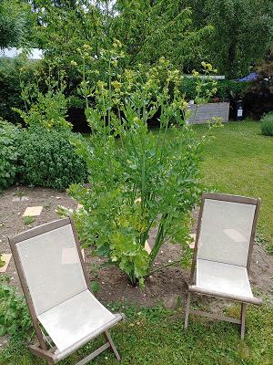 Stephan Margraf, Gartenbau-Produkte