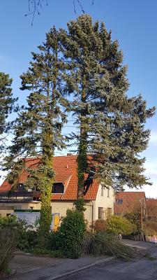 Thielen GmbH & Co. KG