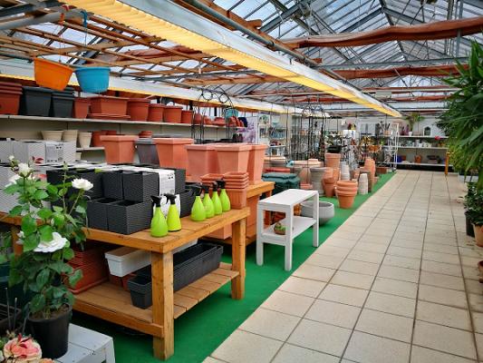 Blumen & Gartencenter Denecke | Northeim