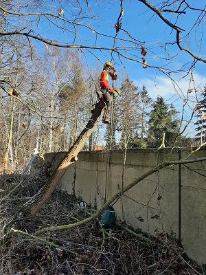 Baum Service Jens+Melanie Bündge GbR