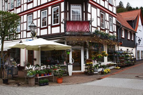 Gamas Blumenwelt