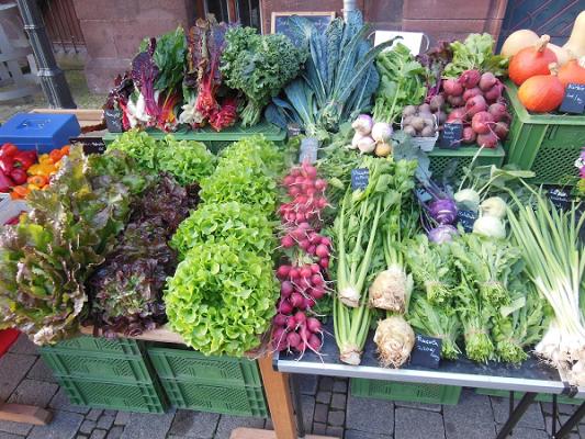 Sonnenberggemüse Anita Edinger