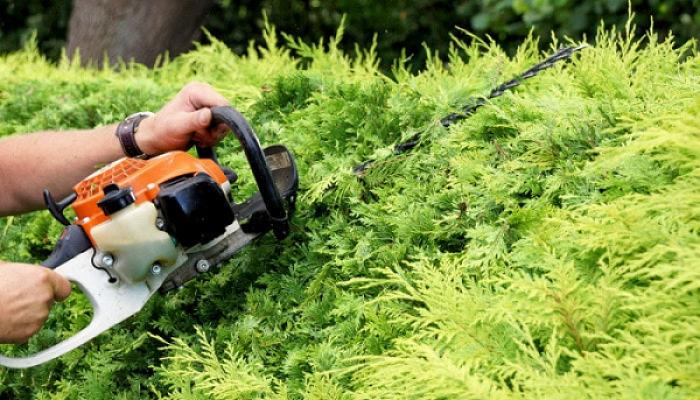 MSR GartenService und Landschaftspflege