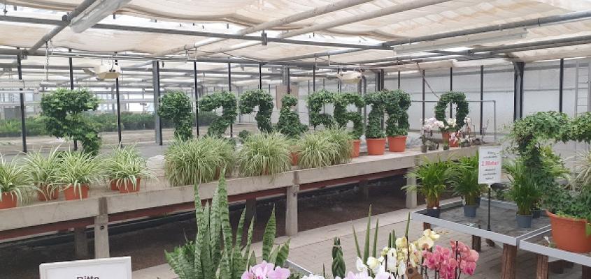 Ulrike Wolf Blumen - Floristik - Grabpflege