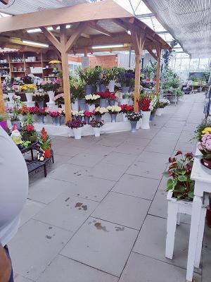 Gartenbaucentrum Cremlingen