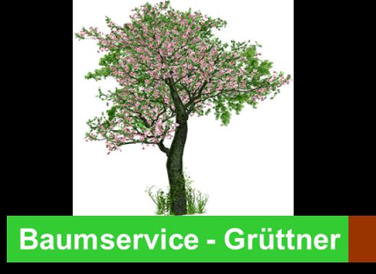 Baumservice Grüttner - Ihr Fachunternehmen spezialisiert auf Baumpflege