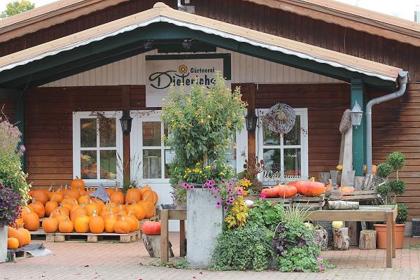 Gärtnerei Dieterichs - Blumenladen, Floristik, Pflanzen, Kräuter und Gemüse