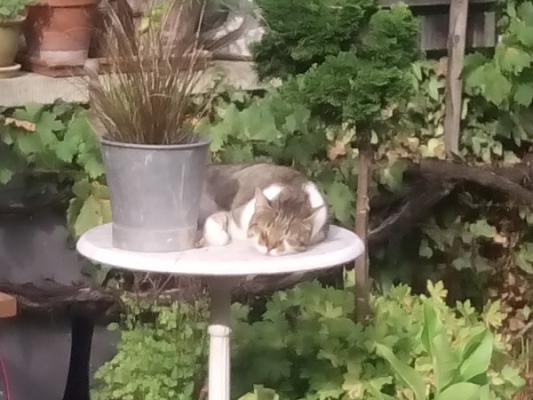 Thomas Eberle-Uhlig - thomas-gärten