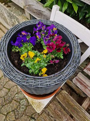 Gartenbau Grabenhorst