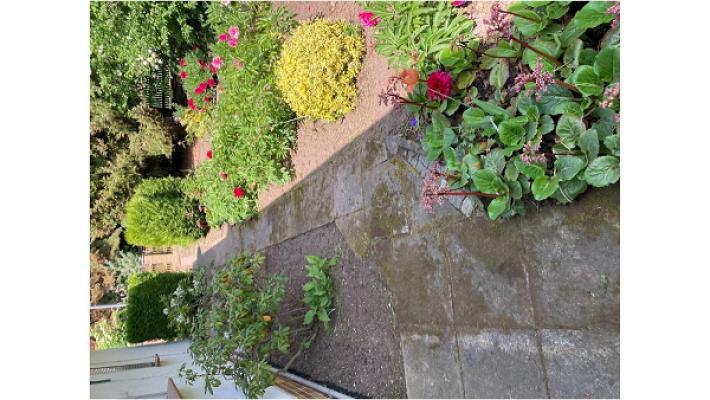 Großmann Agrar & Forst Garten & Landschaftsbau, Gartenpflege , Gartengestaltung, Baumfällung/Pflege & Winterdienst