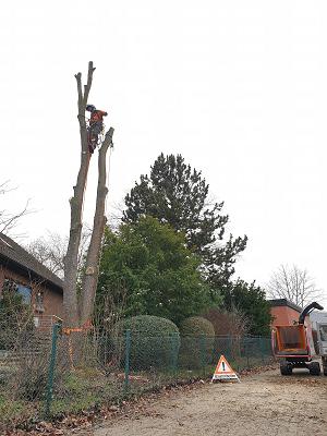Krieter Baumarbeiten