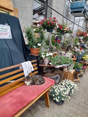 Anja Winter Gärtnerei - Haverlah