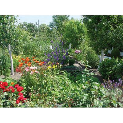 BRENDEL Garten- und Landschaftsbau GmbH