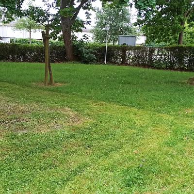 SG Dienstleistungen Garten- und Landschaftspflege