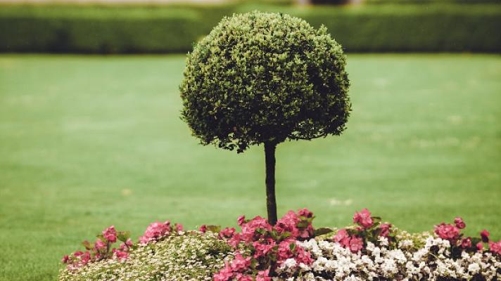 Gartenfreunde 38 | Wolfsburg