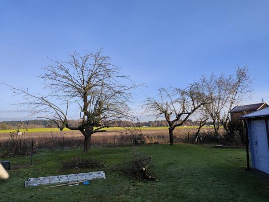 DS Dein schöner Garten-D.Seidenberg