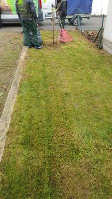 Rawaa Service Gartenpflege