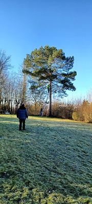 Service rund ums Haus Gladisch