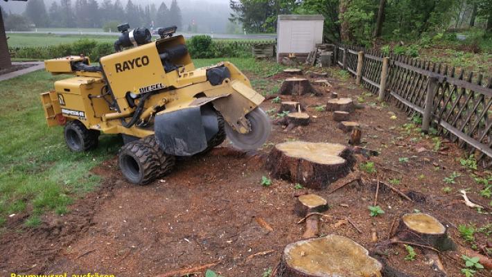 Baumwurzel Baumstumpf entfernen ausfräsen -Minibagger - Häcksler- Boden Umkehrfräse