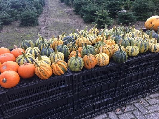 Baumschule Spithoven