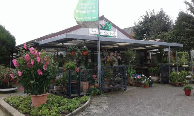 Blumen Schulte Nordholt