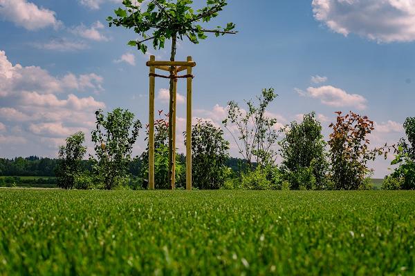Koch Garten- und Landschaftsgestaltung