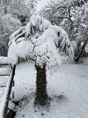 Gartenbaubetrieb F. Piepel