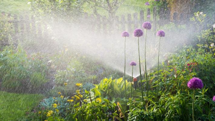 Broxtermann Garten- und Landschaftsbau GmbH & Co. KG