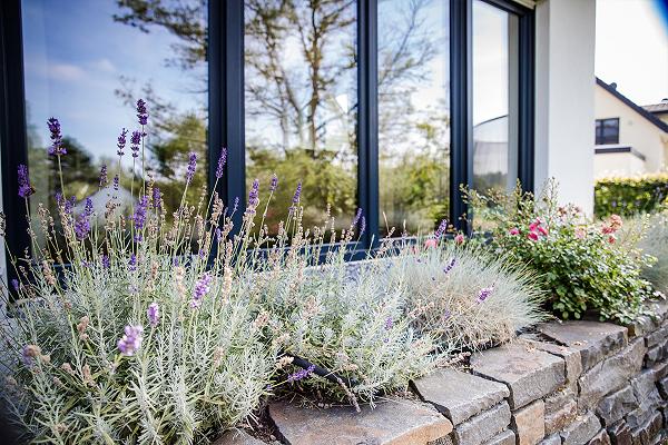 Thorsten Hagedorn Garten- und Landschaftsbau