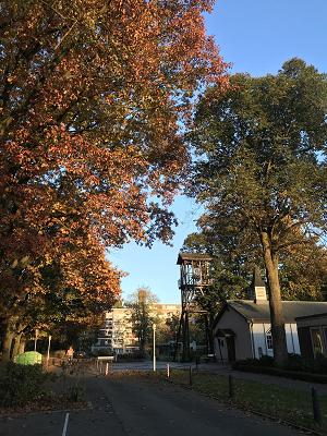 Aulenkamp-Garten & Landschaftsbau