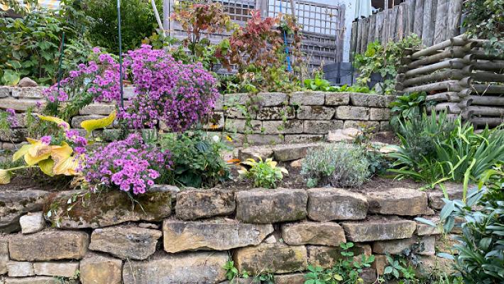 Sepp‘s Dienstleistungen