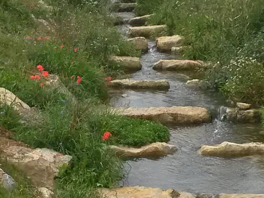 Schäfer Wege- & Landschaftsbau Betriebshof