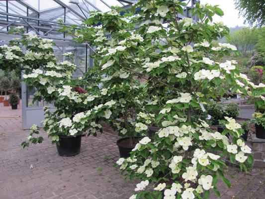 Schönhoff Gärten Hagen aTW