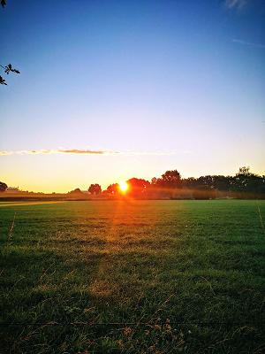 682eba6f1e9b9