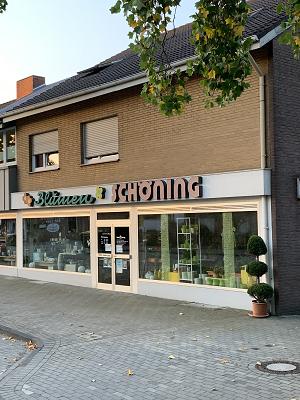 Blumen Schöning