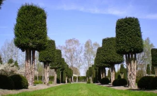 Boymann GmbH & Co.KG