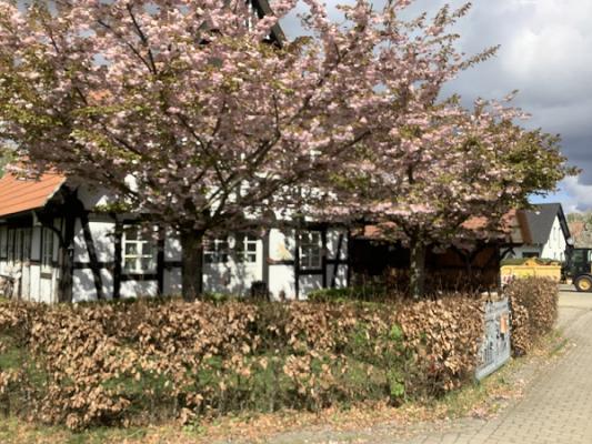 Brockmeyer Gärten GbR