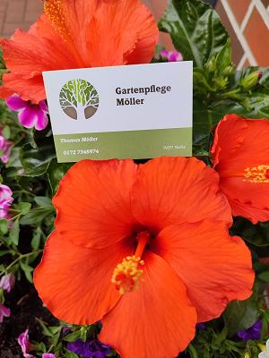 Gartenpflege Möller