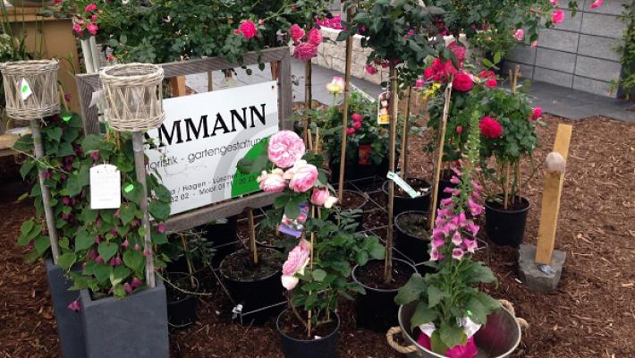 DAMMANN Floristik – Gartengestaltung