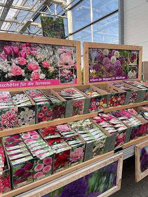 Tebbe- Ideen mit Pflanzen, Stephan Tebbe